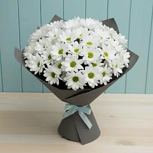 Букет цветов из:  Хризантемы в Кувандыке