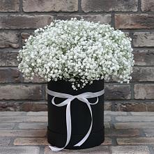 Цветочная композиция из Гипсофила в шляпной коробке в Кувандыке