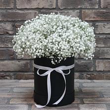 Цветочная композиция из Гипсофила в шляпной коробке в Кувандыке