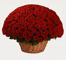 Премиум букет из: Розы в Кувандыке