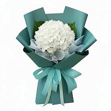 Букет цветов из:  Гортензия в Кувандыке